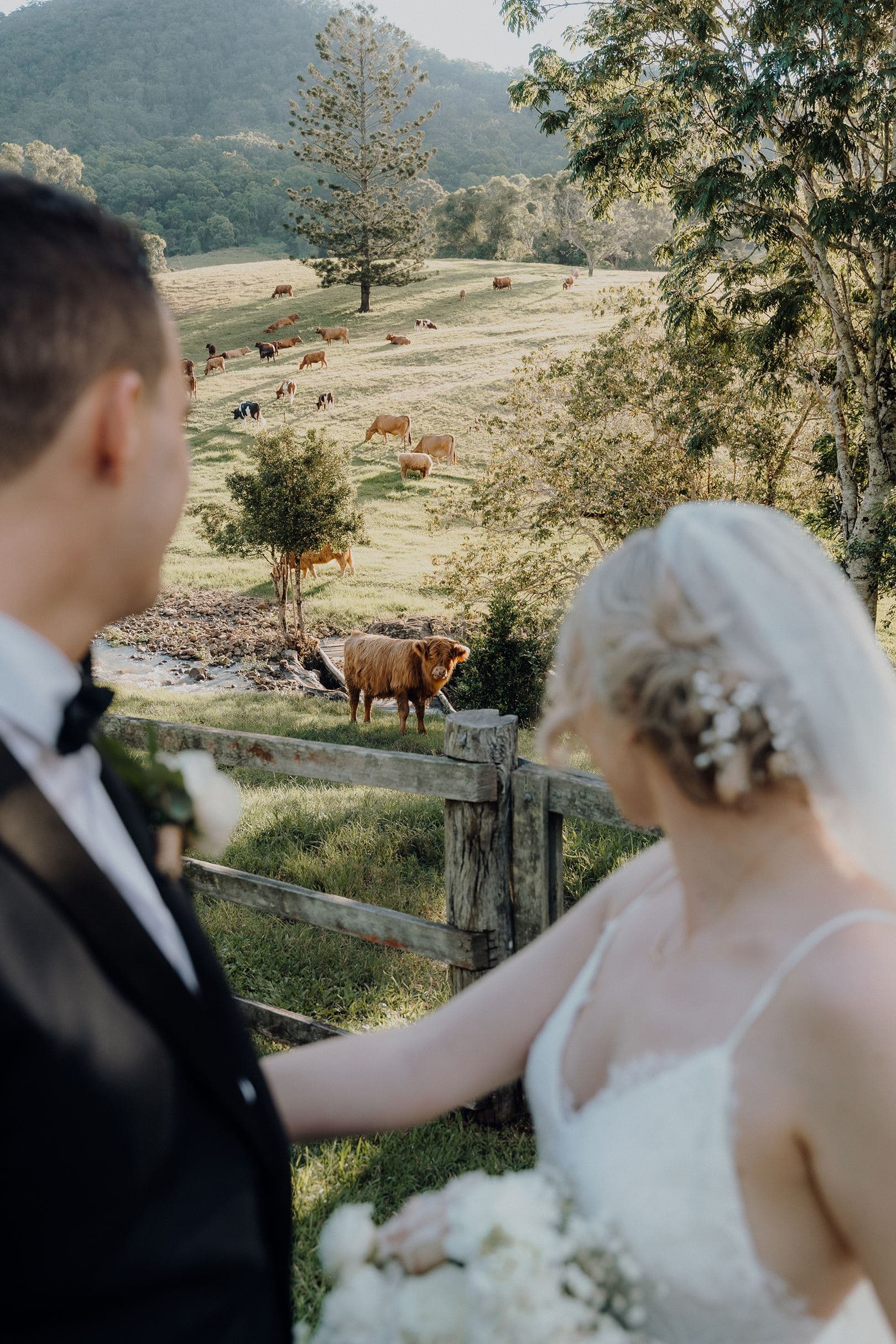 Dreamy Hinterland Wedding Venues on the Gold Coast