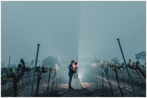 Lily & Twine Photography