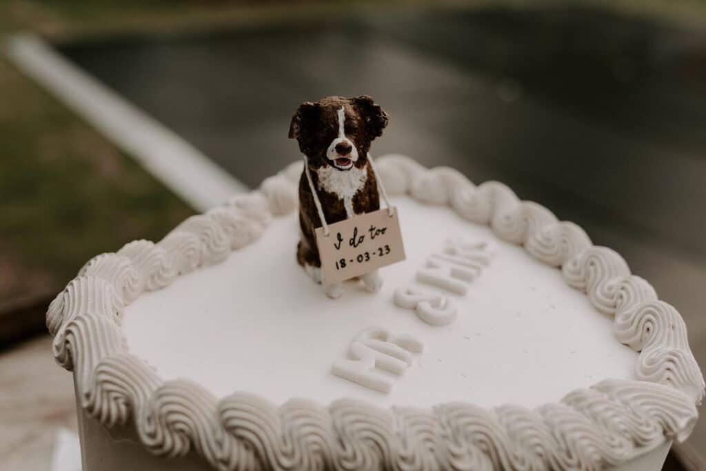 Pawfect Love TNWD Blog 2 - Pets in Weddings: Just a Trend? - The National Wedding Directory